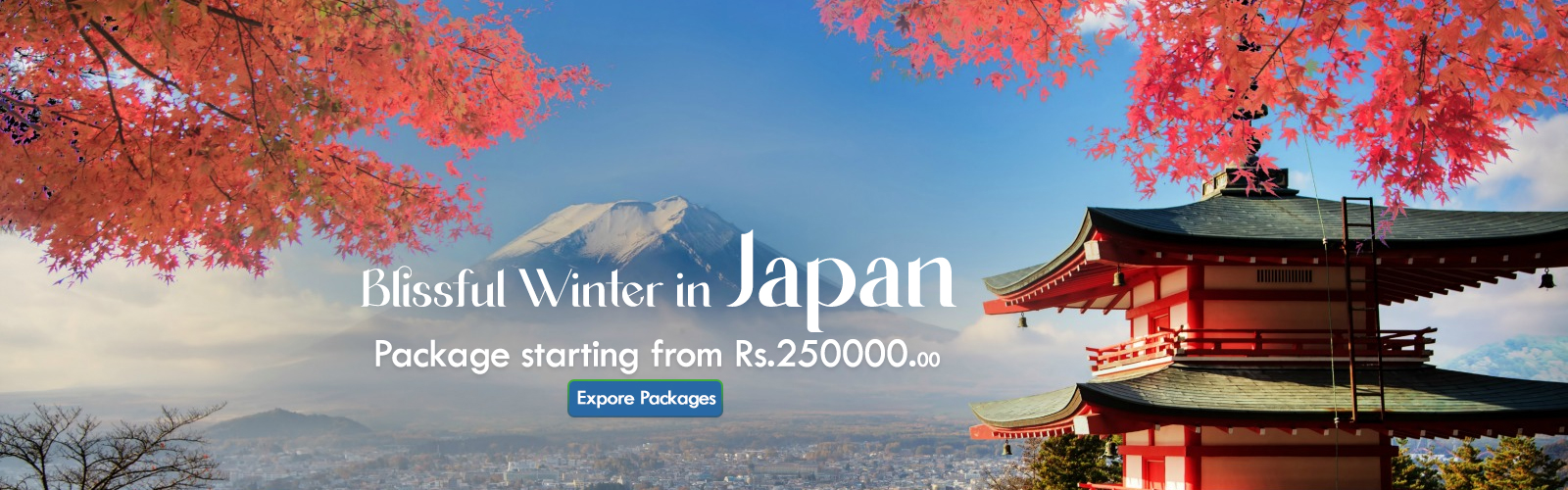 Tripoholidays Packages