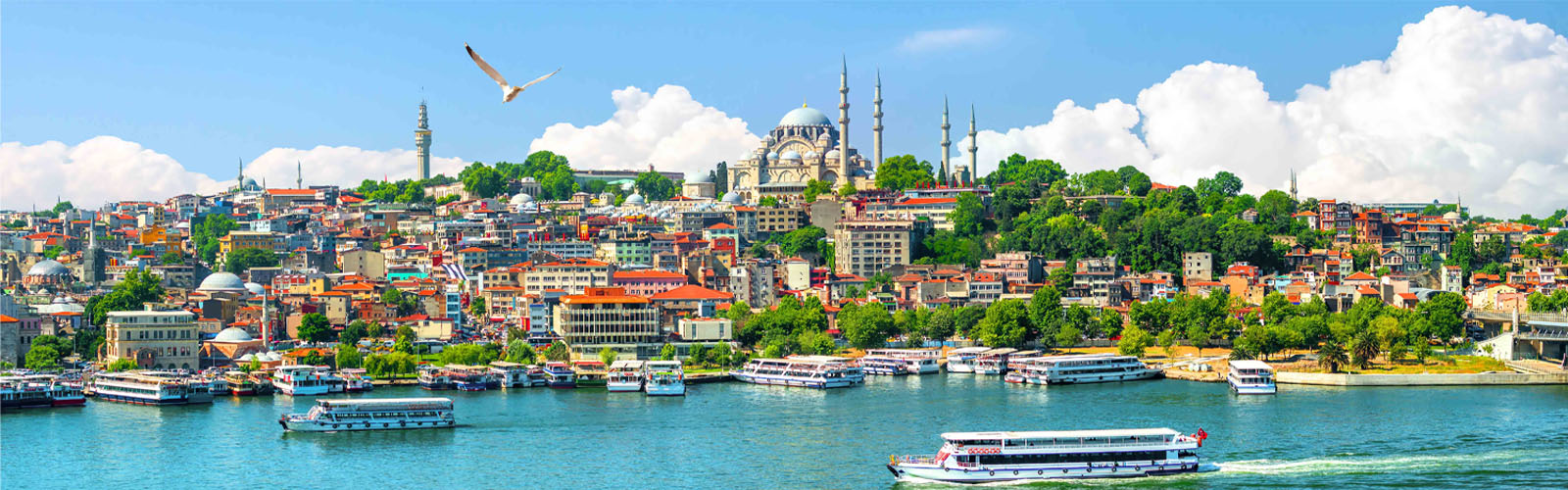 Tripoholidays Packages