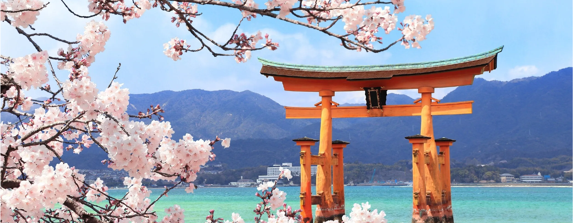 japan-02_vYOBPwnRpP.png